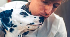 Berliner Schnauzen im Massive Open Online Course